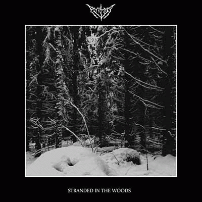 Stranded in the Woods